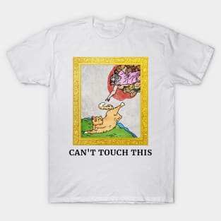 Cant touch this Cat Creation of Adam T-Shirt